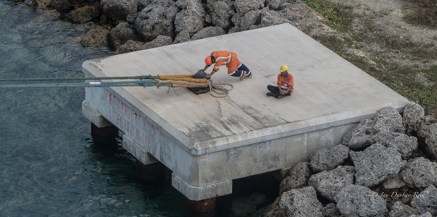 Balancing Yoga Practice with Personalized Dietary Choices