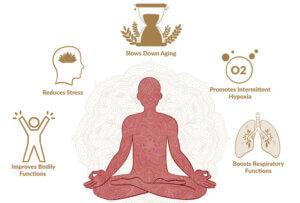 Cultivating Inner Peace Pranayamas Role in Emotional Balance and Stress Reduction