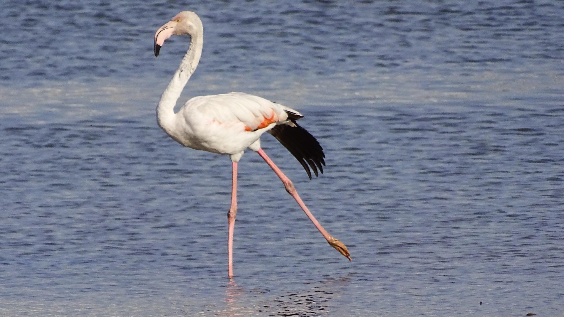 Harmonizing Perspectives: Recommendations for Integrating Yoga and ‌Science