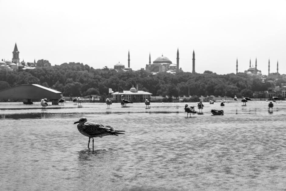 Integrating Practices: Recommendations for a Global Yoga Community