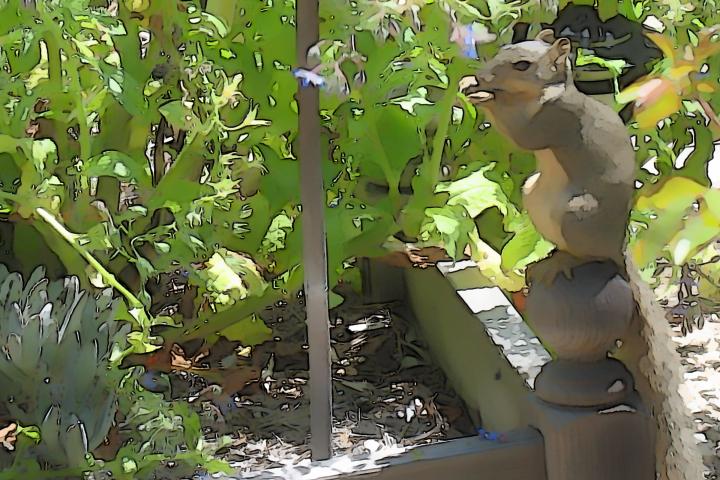 Mindful Munching Optimal Pre-Yoga⁤ Nutrition Tips