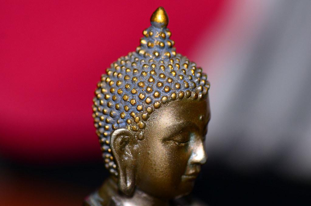 Mindful Breathing Techniques to Support Digestive Harmony