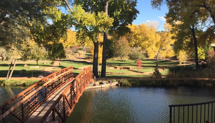 Foods to Avoid for Better Yoga Practice Results