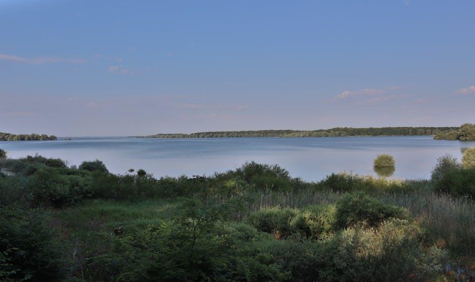 Embracing Change with the Philosophy of Non-Attachment