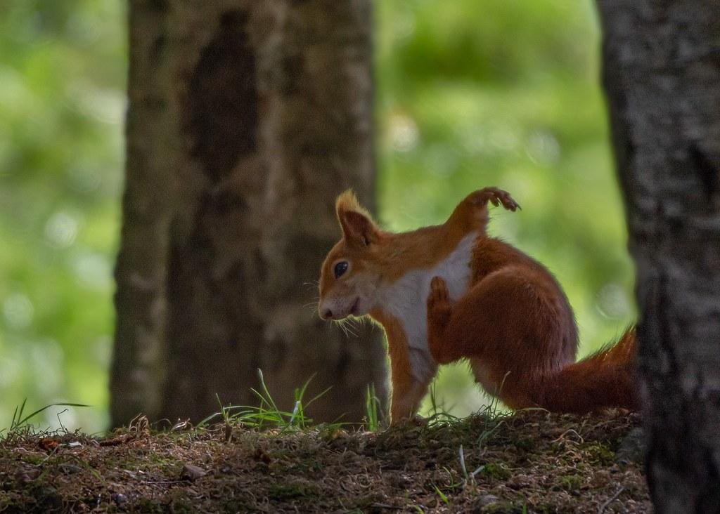 Flow into Focus: Morning Yoga Poses to Energize Your Day