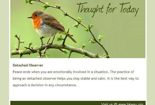 Are Online Family Yoga Classes Effective