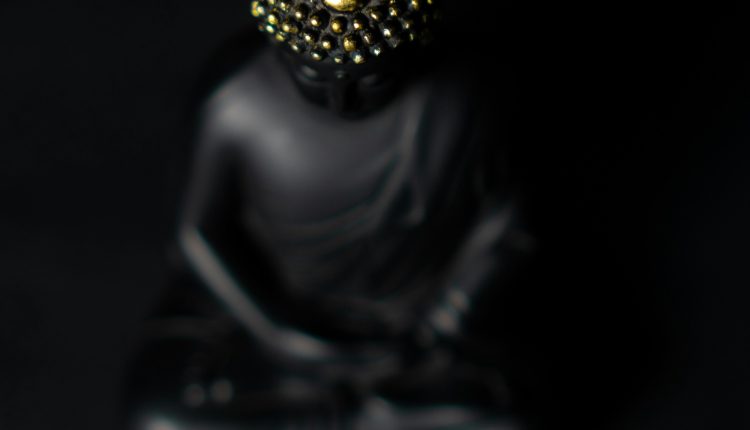 Exploring dharma through the lens of yoga principles