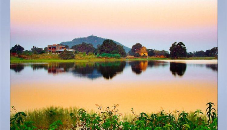 Morning yoga routines to energize children