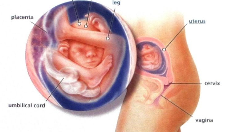 Yoga to help expectant moms cope with stress