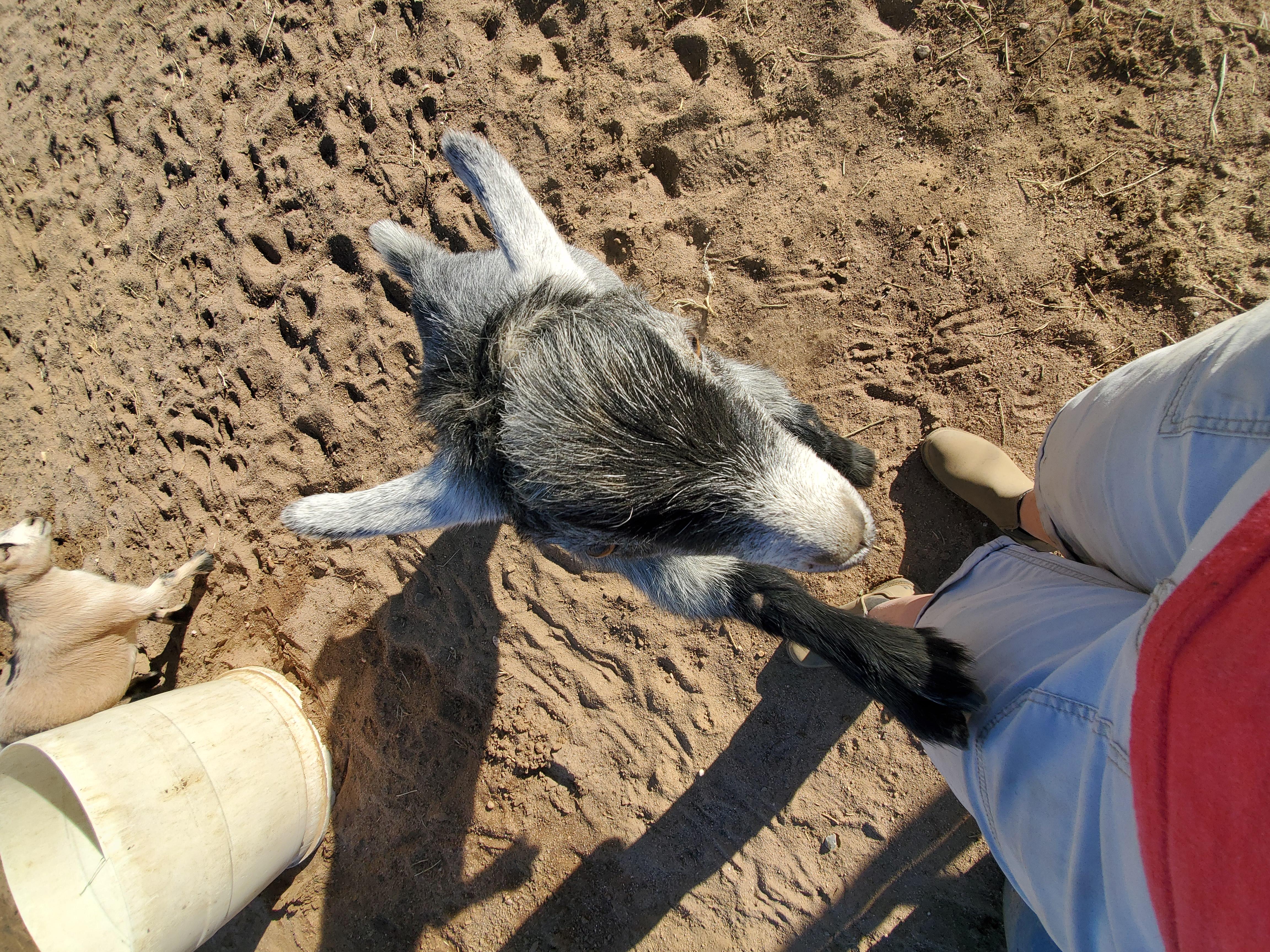 Incorporating Fun and Flexibility into Your Routine