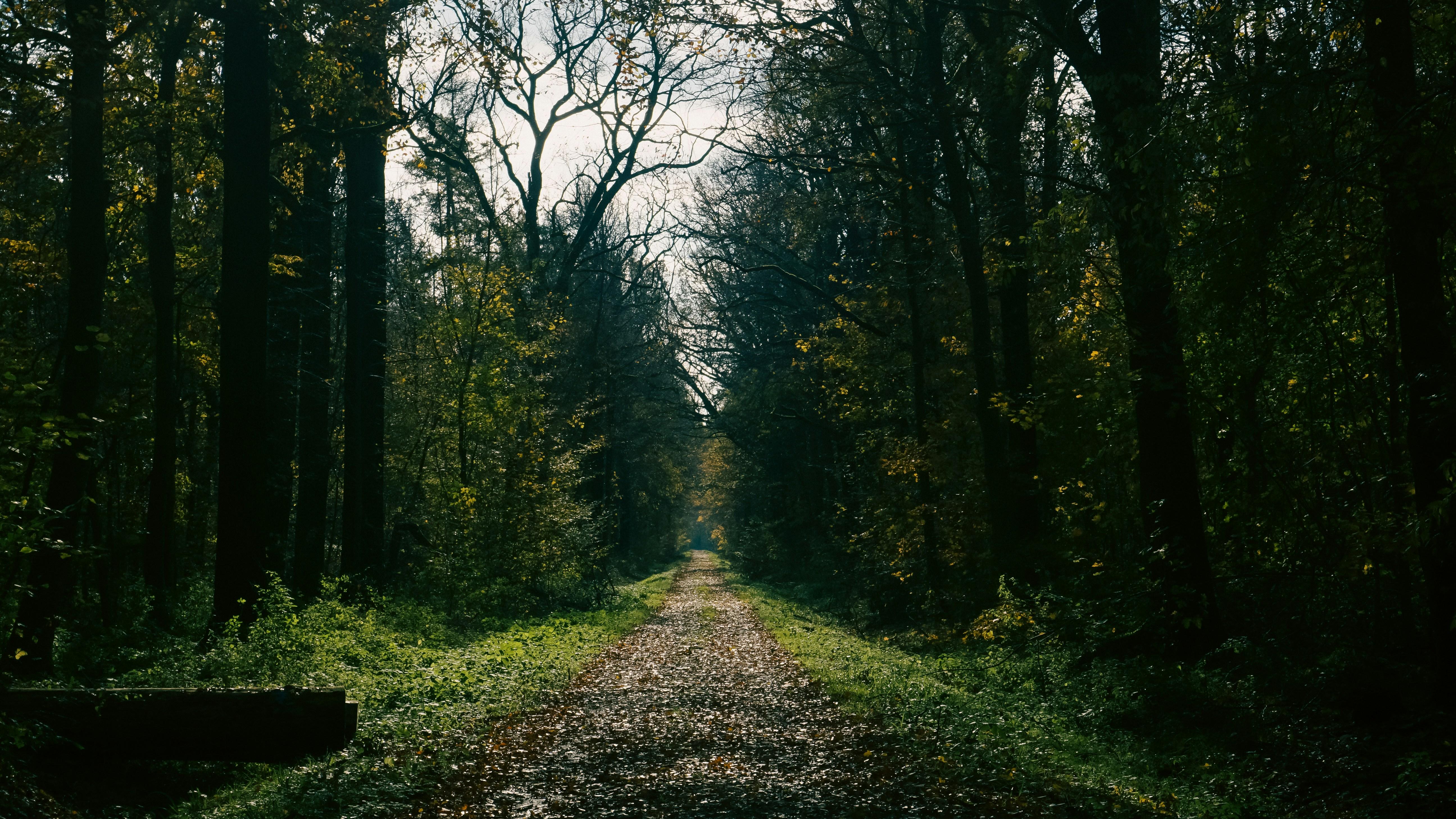 Breathing Techniques ⁣to Calm the Mind