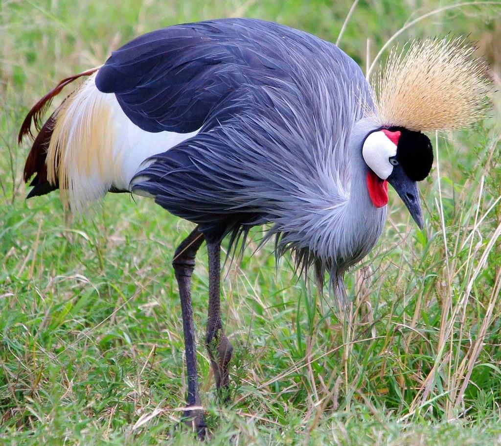 Embrace the Pause: Harnessing the Power of Intentional Eating