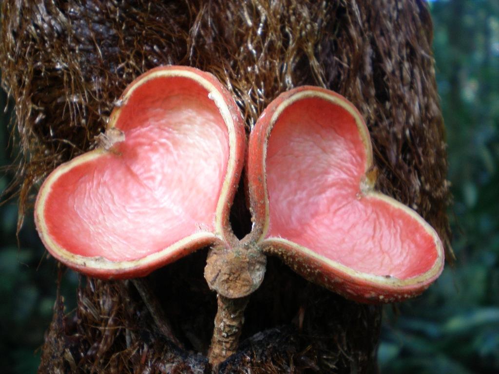 The Science Behind Yogas Impact on Family Dynamics